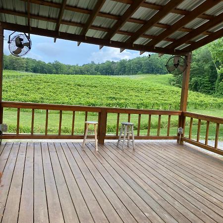 Eagle Mountain River Retreat Ellijay Esterno foto