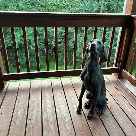 Eagle Mountain River Retreat Ellijay Esterno foto