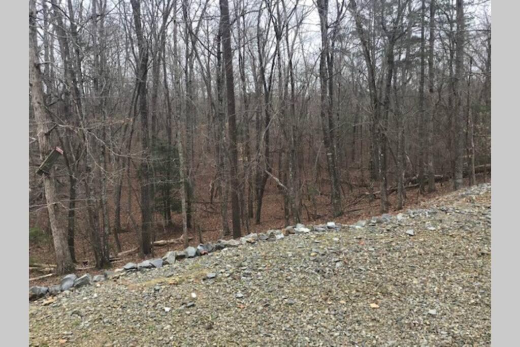 Eagle Mountain River Retreat Ellijay Esterno foto