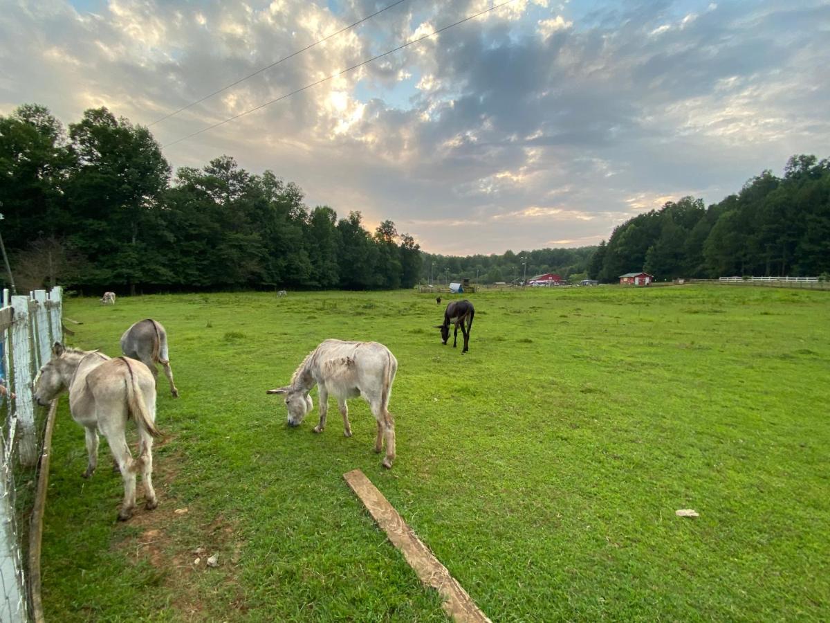Eagle Mountain River Retreat Ellijay Esterno foto