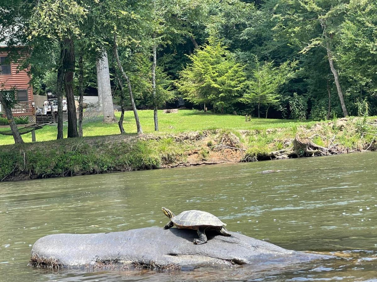 Eagle Mountain River Retreat Ellijay Esterno foto
