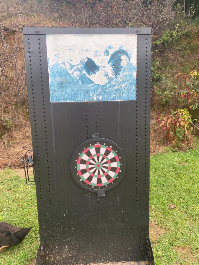Eagle Mountain River Retreat Ellijay Esterno foto